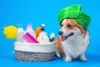 Os 10 melhores shampoos para cachorro de 2026: a seco, neutro, para limpeza profunda e mais!