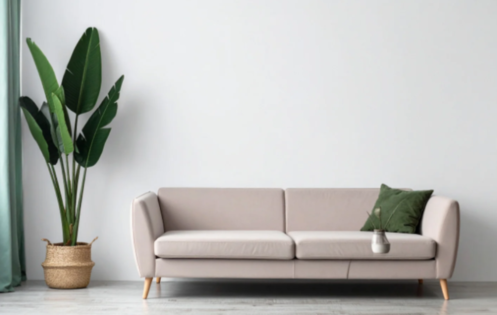 Sofá e planta ao lado 