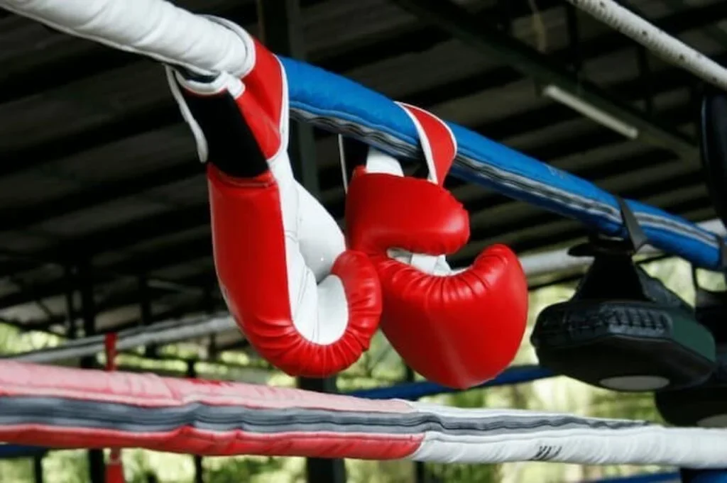 luvas de Muay Thai