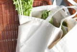 As 10 Melhores Ecobags de 2026: de algodão, personalizadas e muito mais!